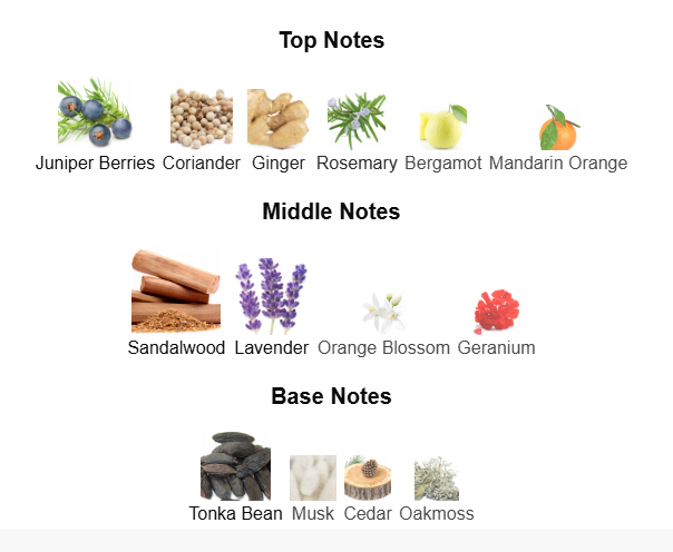 CREED ORIGINAL SANTAL