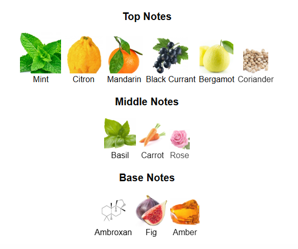 RAYHAAN PACIFIC AURA (Inspired by LV Pacific Chill)