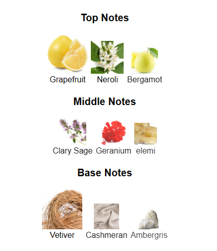 FRENCH AVENUE PIERCE (Inspired by PDM Perseus)