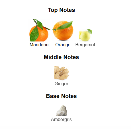 FRENCH AVENUE PINNACE ORYN (Inspired by LV Afternoon Swim)