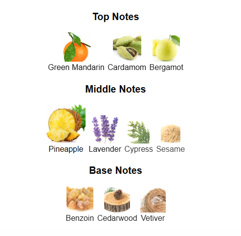 RALPH LAUREN POLO 67 EDP