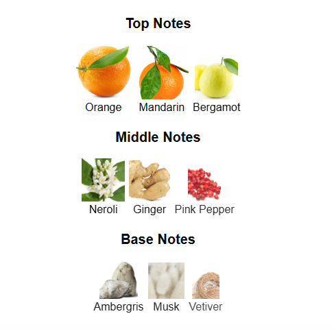 RAYHAAN ADONIS ICARUS (Inspired by LV Afternoon Swim)