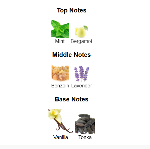 RAYHAAN ELIXIR (Inspired by JPG Le Male Elixir)