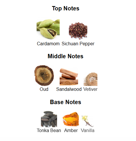 RAYHAAN WOOD NOIR (Inspired by Tom Ford Oud Wood)