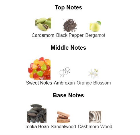 SALVATORE FERRAGAMO UOMO