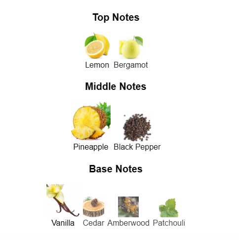 LATTAFA ISHQ AL SHUYUKH SILVER (Inspired by Rabanne 1 Million Lucky)