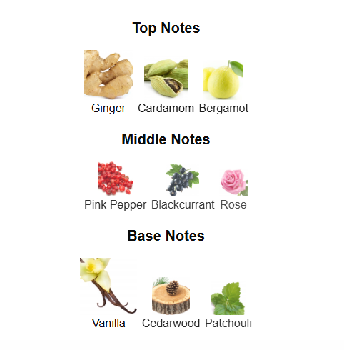 FRAGRANCE WORLD SPECTRE GHOST (Inspired by Nishane Ani)