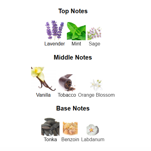 LATTAFA THE KINGDOM (Inspired by JPG Le Male Elixir)