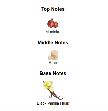 HUGO BOSS BOSS THE SCENT MAGNETIC