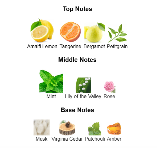 XERJOFF 1861 RENAISSANCE