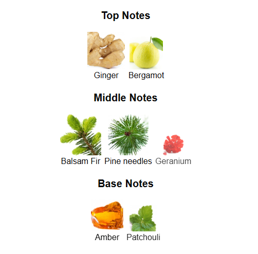 YSL Y LE PARFUM 2025